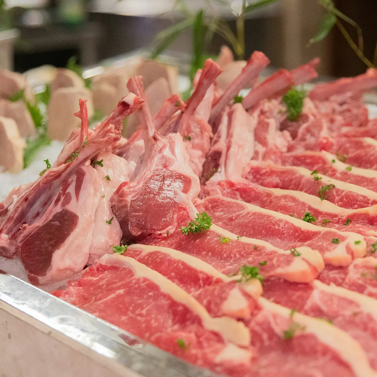 carnicerialosjoses-8